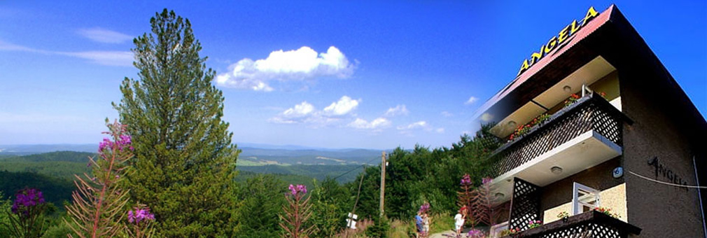 Pokoje Krynica Zdrój